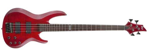 Image of bass ESP LTD B154DX