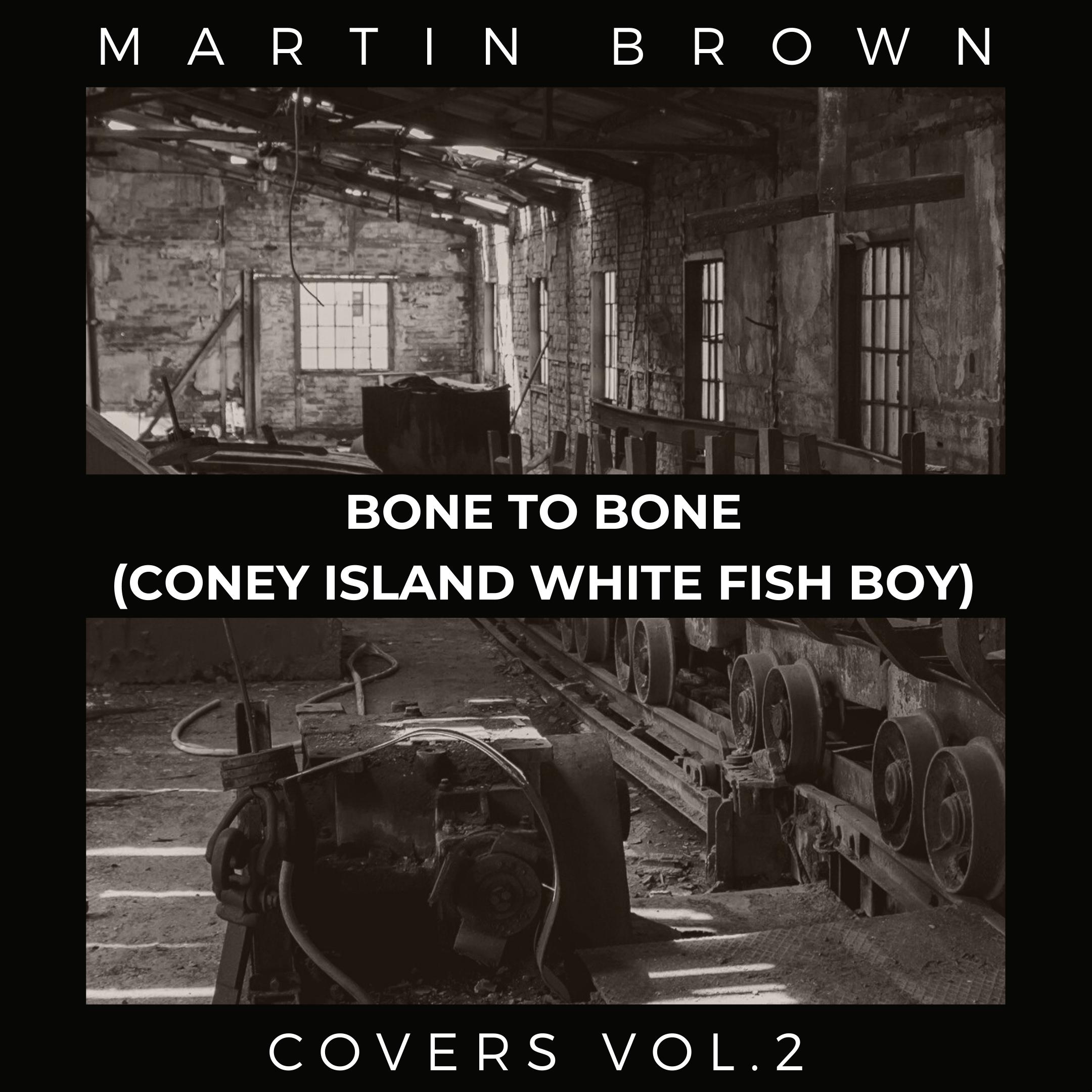 Cover image of Bone to Bone (Coney Island White Fish Boy) song