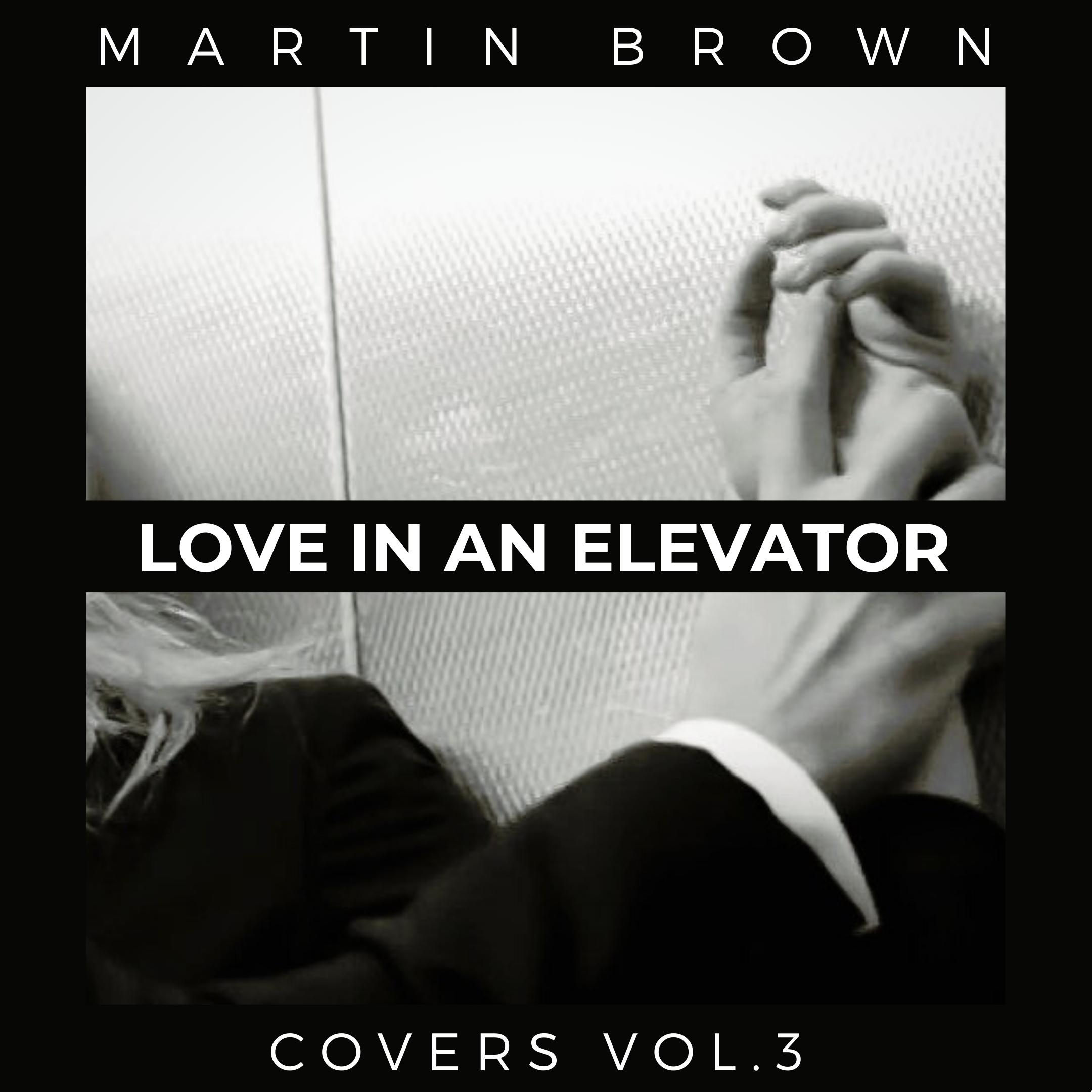 Cover image of Love in an Elevator song